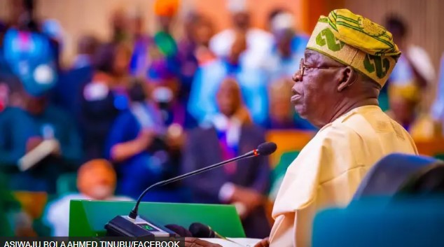 Tinubu 2025 budget fit solve Nigeria economic wahala?